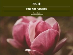 5 Guides to Help You Create Beautiful Flower Photos 4 190918 QG Flowers IMG001.jpg.optimal