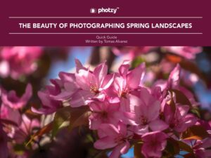 5 Guides to Help You Create Beautiful Flower Photos 2 210630 QG SpringLandscapes IMG001 1536x1152.jpg.optimal