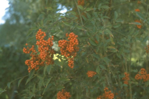 Tips for Beginners: 35mm Film Photography 7 Screen Shot 2021 07 25 at 11.28.01 pm