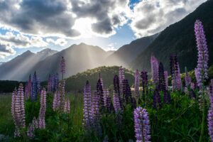 Feed Your Wanderlust With These 5 Travel Photo Guides 2 aneta foubikova ph ldDJS6vc unsplash