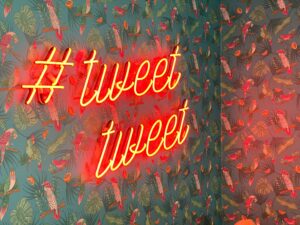 Social Media for Amateur Photographers: Getting Started and Best Practices 3 chris j davis 7ezFz2Hxd40 unsplash
