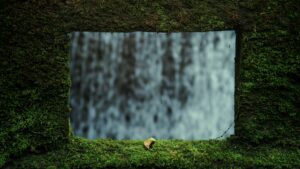11 Essential Tips for Getting Started in Photography 3 ice tea HCY6DlibpyY unsplash