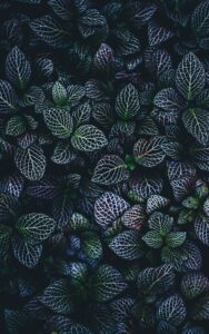 15 Photos to Inspire You to Use Patterns in your Photography 11 photo 1485841938031 1bf81239b815
