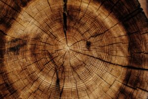 15 Photos to Inspire You to Use Patterns in your Photography 6 photo 1515446134809 993c501ca304