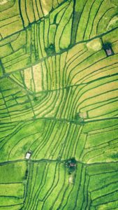 15 Photos to Inspire You to Use Patterns in your Photography 10 photo 1556490496 45afc7b8b8e5