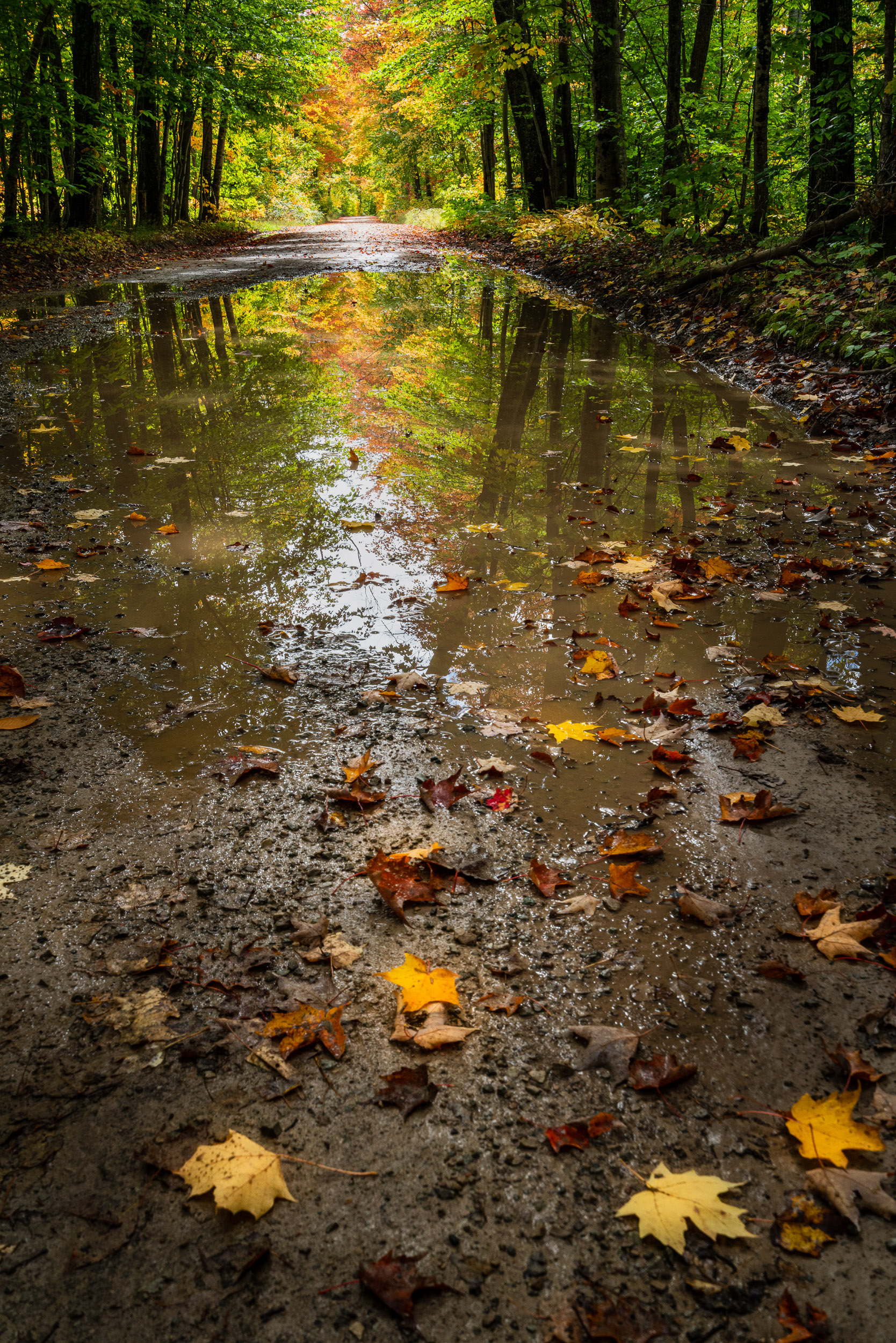 making-a-good-landscape-photo-she-snaps