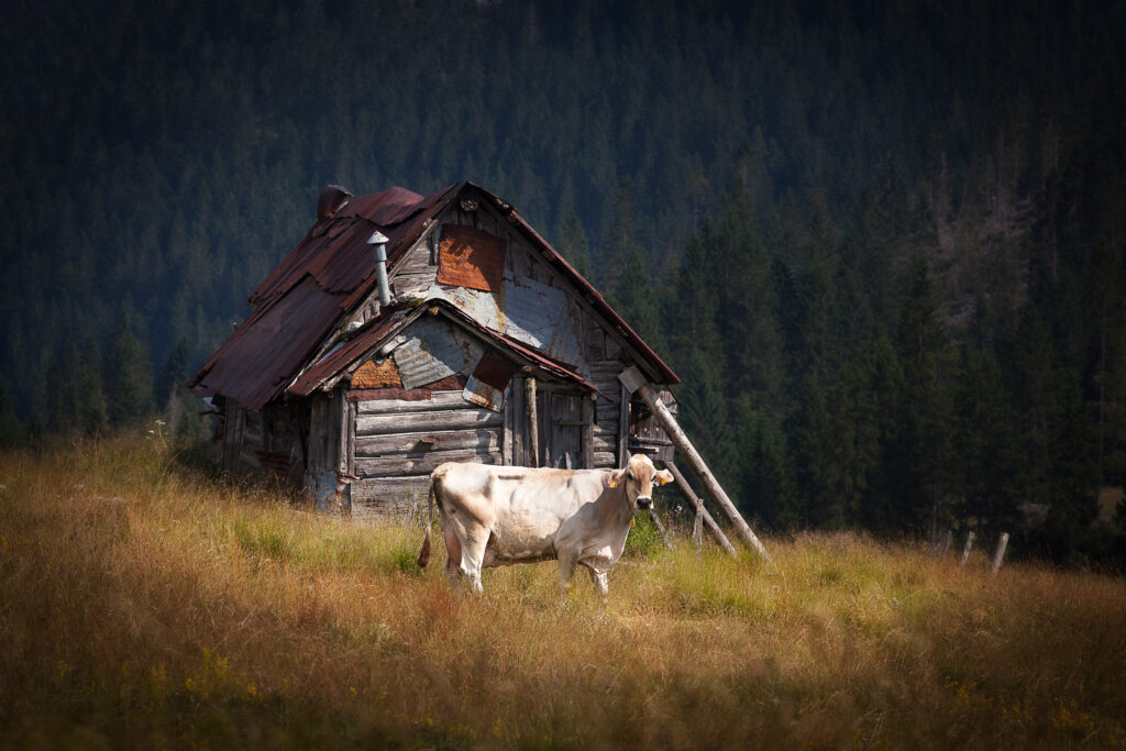 Marcesina Highlands of Asiago