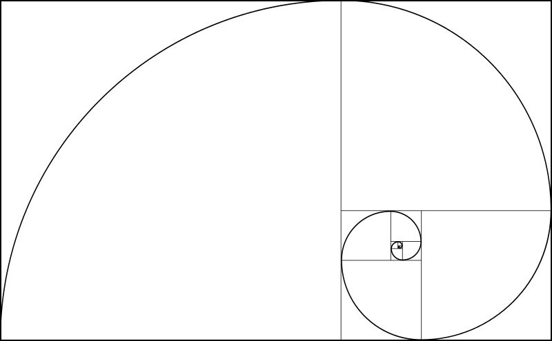 fibonacci spiral image