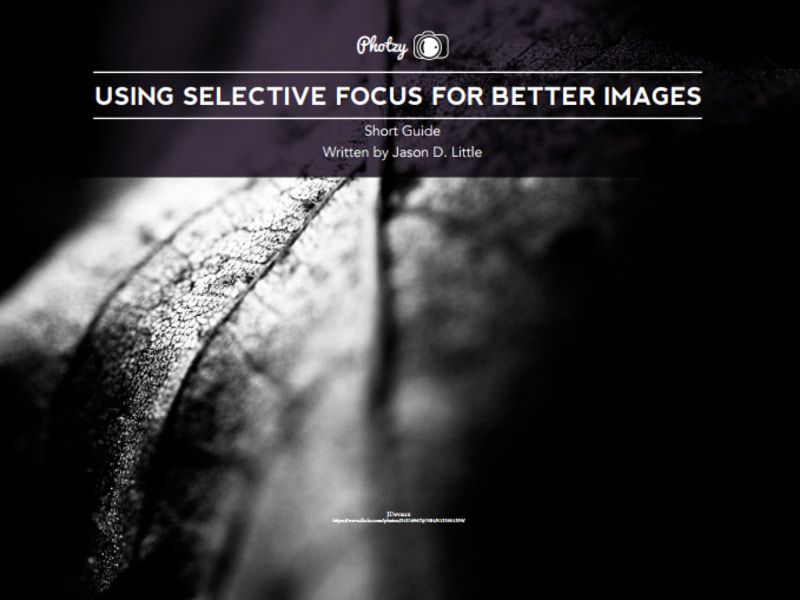 Using Selective Focus for Better Images coverimage.jpg.optimal