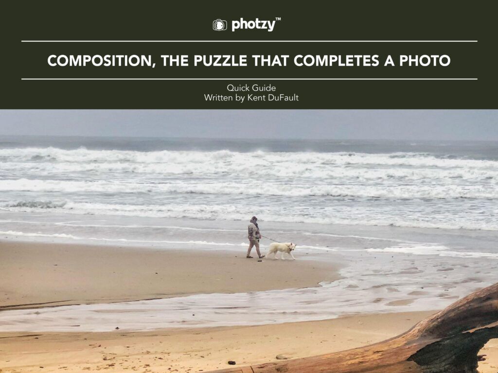 240324 QG CompositionPuzzle IMG001 1024x768.jpeg.optimal 1